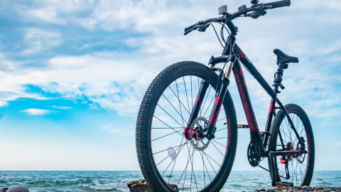 Bike Hire Corralejo Fuerteventura
